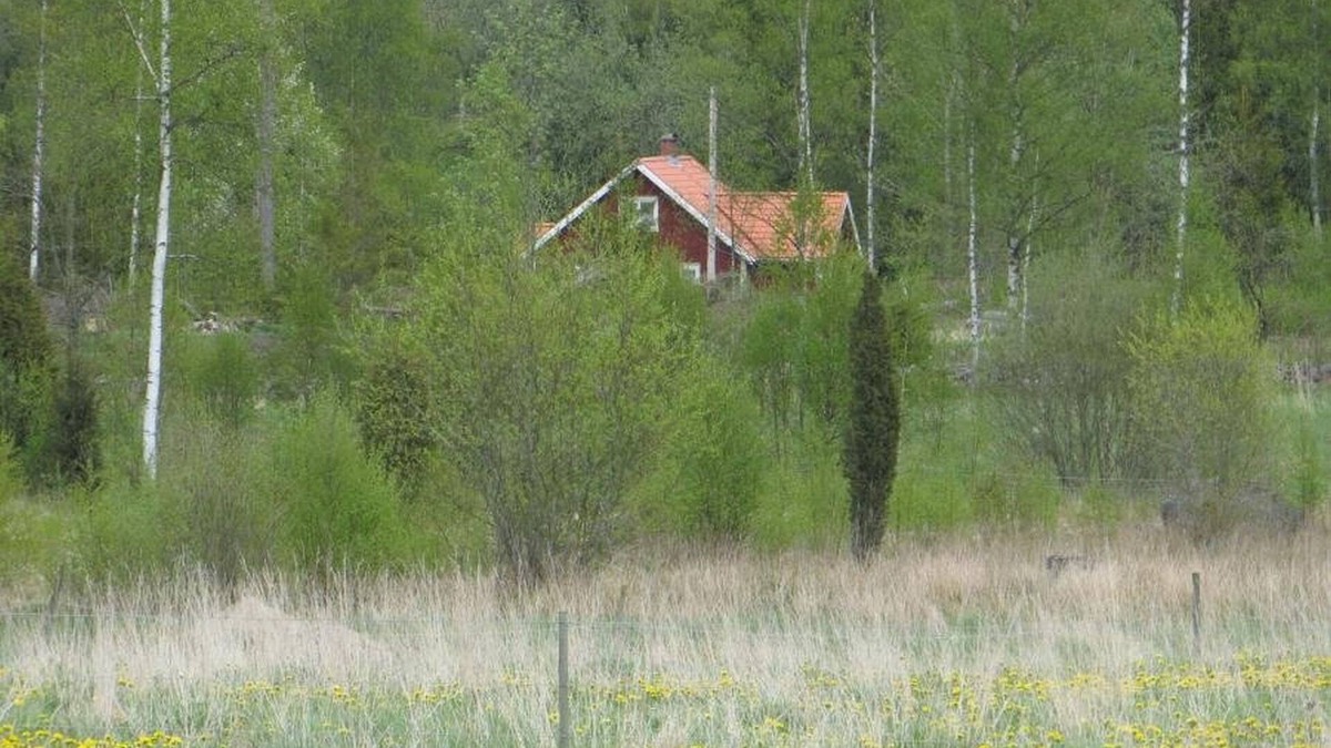 Lonashult Cabin | 10 minutes from Lake Åsnen, Boat at Lake Asnen. Fast Internet, Sleeps 6, Pets OK