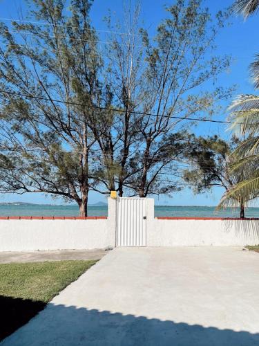 Praia Seca House | 10 Passos da Lagoa