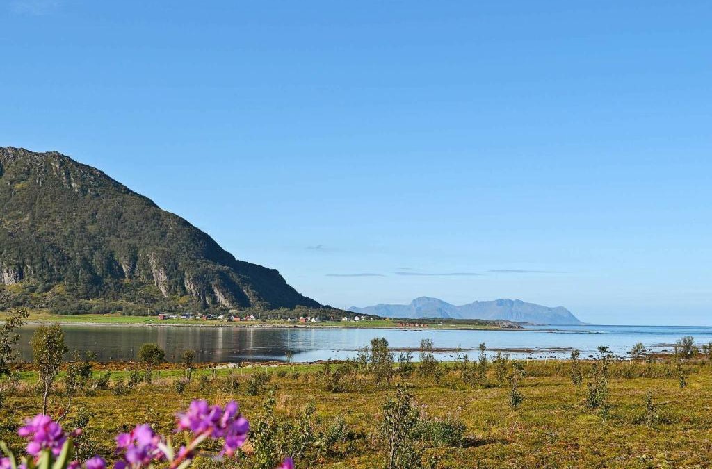 Austvagoy House | 10 person holiday home in Laukvik