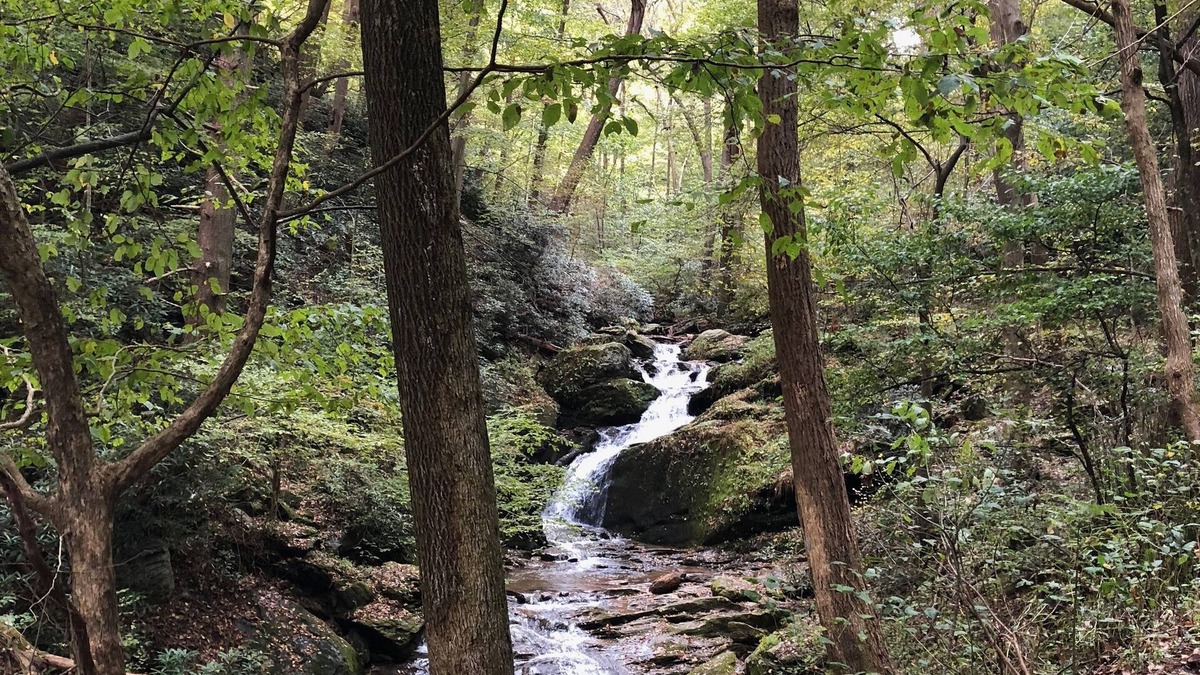 Airville RV Rental | 100+ Beds - 100 Friends - 32+ Acres bordering preserved Forest Park and Trails