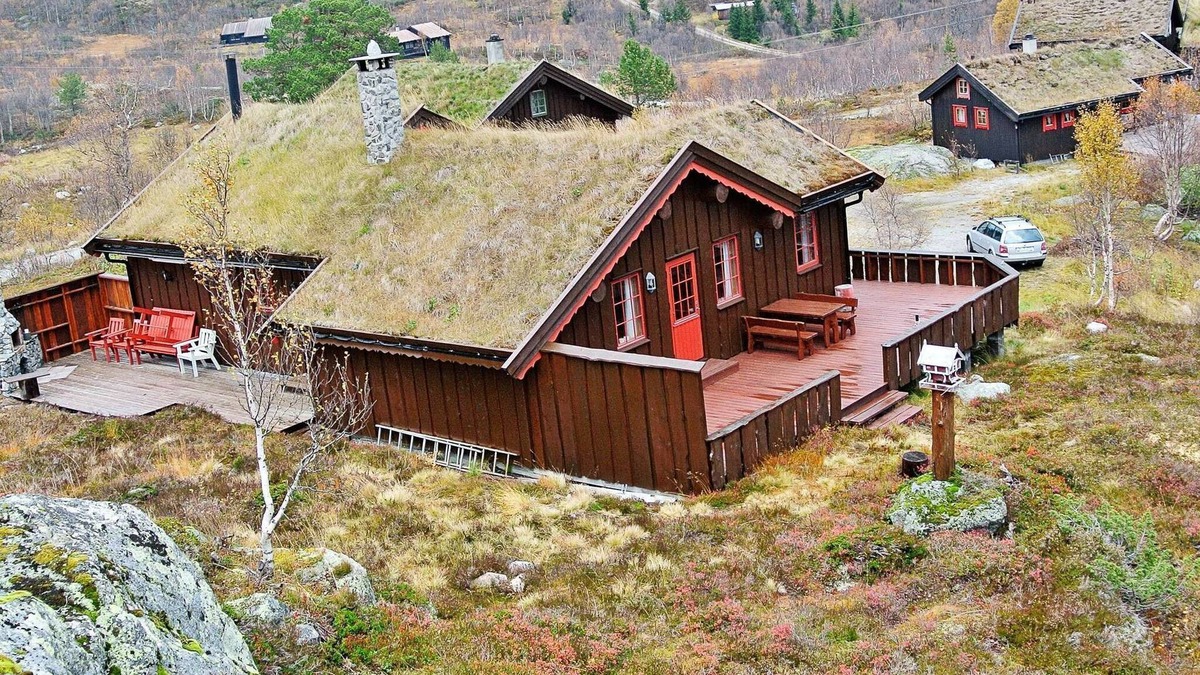 Vinje House | 11 person holiday home in Edland