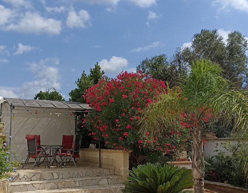 San Pietro in Bevagna House | 120 m² House ∙ 3 bedrooms ∙ 8 guests