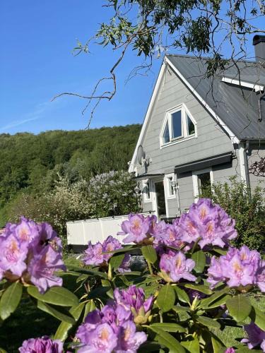 Vanga House | 12an i Vånga