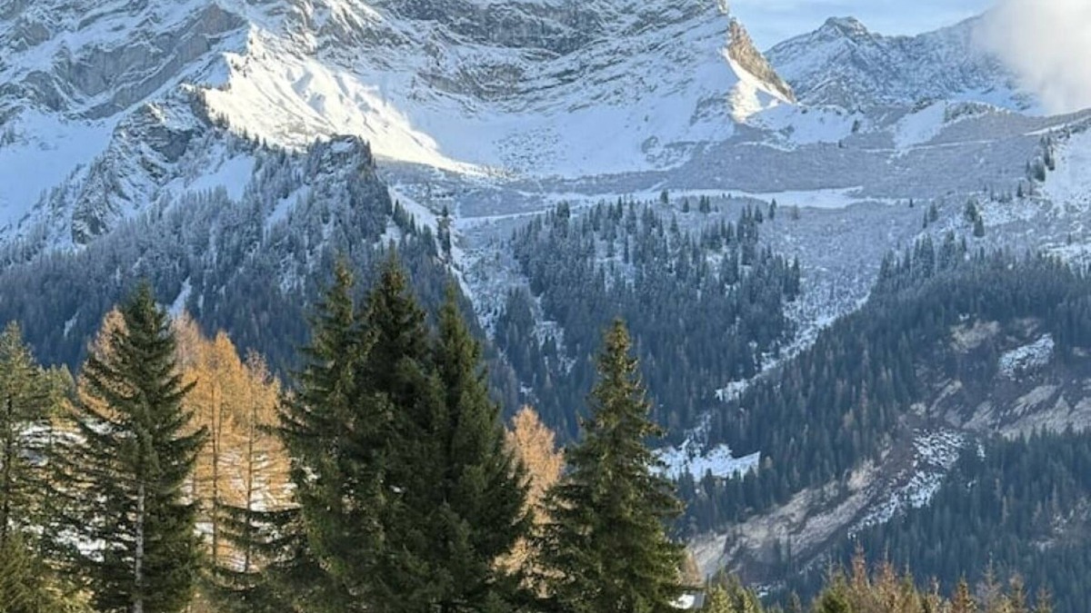 Gryon Apartment | 132.256 Elegant studio Alpe des Chaux