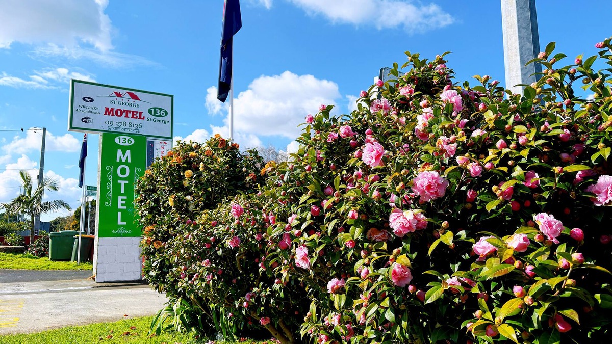 Papatoetoe Hotel | 136 St George Motel