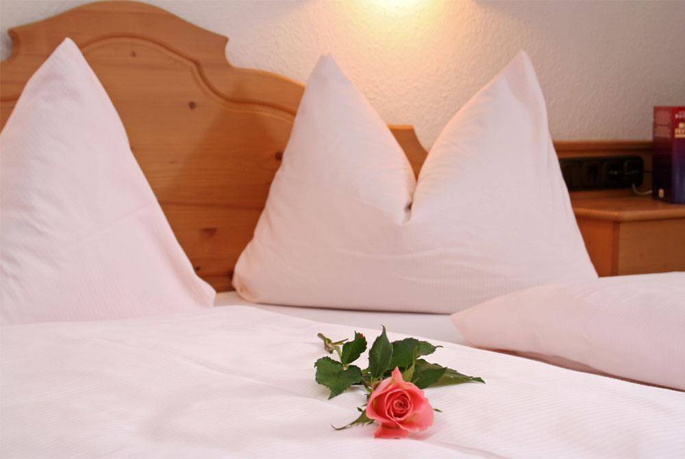 Hirschegg Hotel | 15 m² Hotel ∙ 1 bedroom ∙ 1 guest