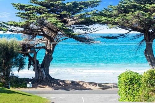 Apollo Bay House | 150 Steps FREE WI-FI