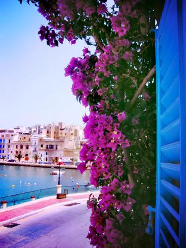 Kalkara House | 1500 Little Pink House in Kalkara Creek