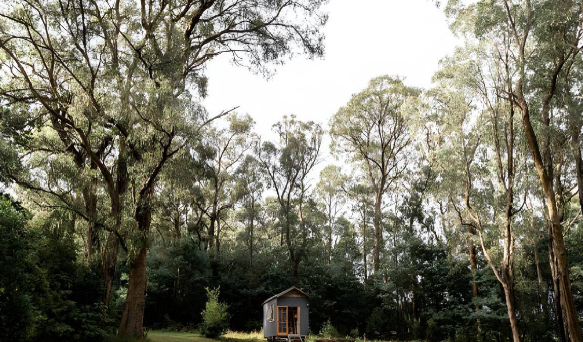Toolangi House | 155 m² House ∙ 1 bedroom ∙ 2 guests