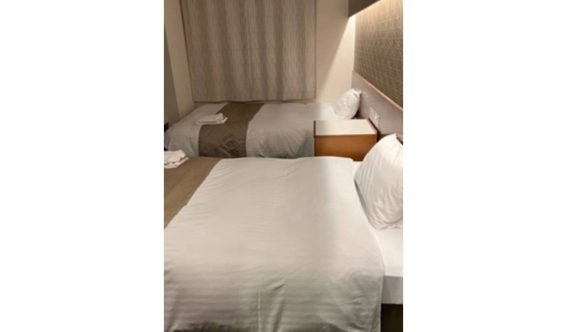 Machida Hotel | 16 m² Hotel ∙ 1 bedroom ∙ 2 guests