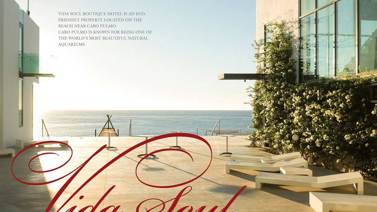 Los Cabos Hotel | 16 rooms Beachfront Groups conferences retreats private events