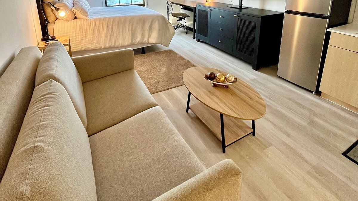 Downtown Baltimore Apartment | 1650/month Sweet Landing, WiFi, fitness room in Baltimore