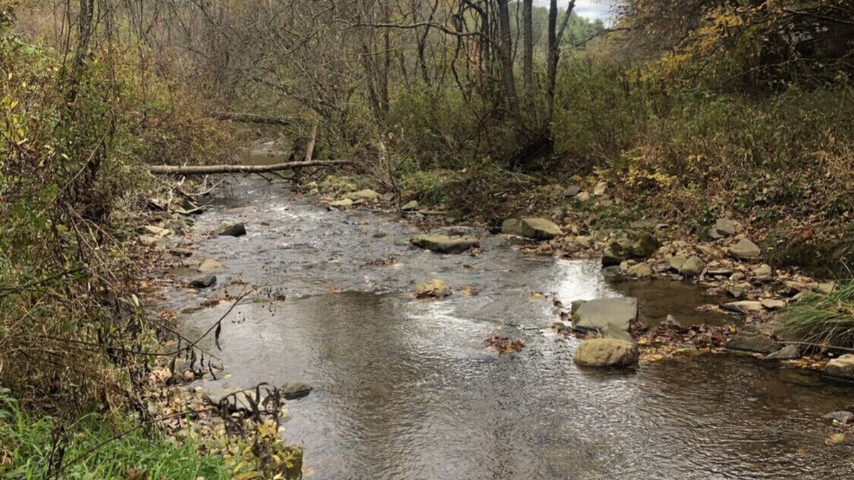 Ashe County House | 1940s Creekside Farmhouse