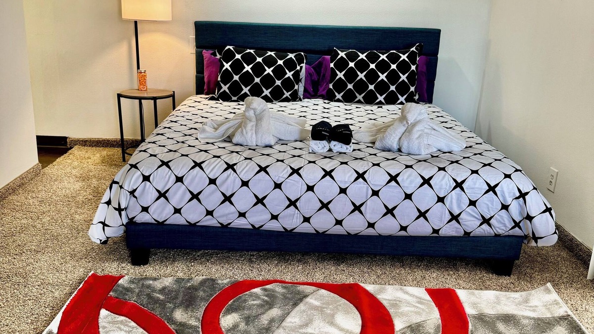 South Central Houston Apartment | 1Bedroom Studio NRG MDA Med UH Zoo DT Galleria KgBD Pool WiFi 4KTV