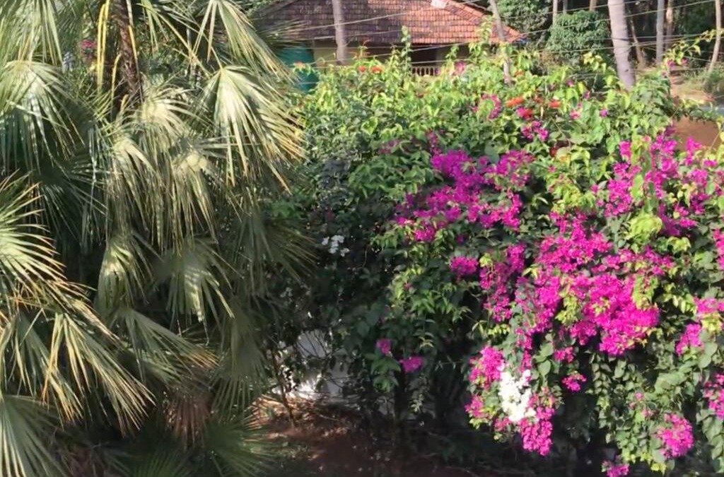 Betalbatim Apartment | 1BHK Luxury Homestay In Betalbatim South Goa 1km from the Beach