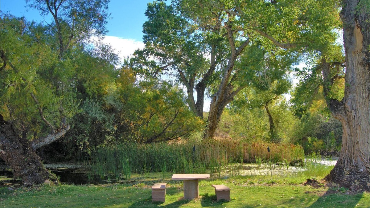 Cornville Apartment | 1BR Casita close to wineries in the Verde Valley, quick drive to Sedona, Jerome and Cottonwood