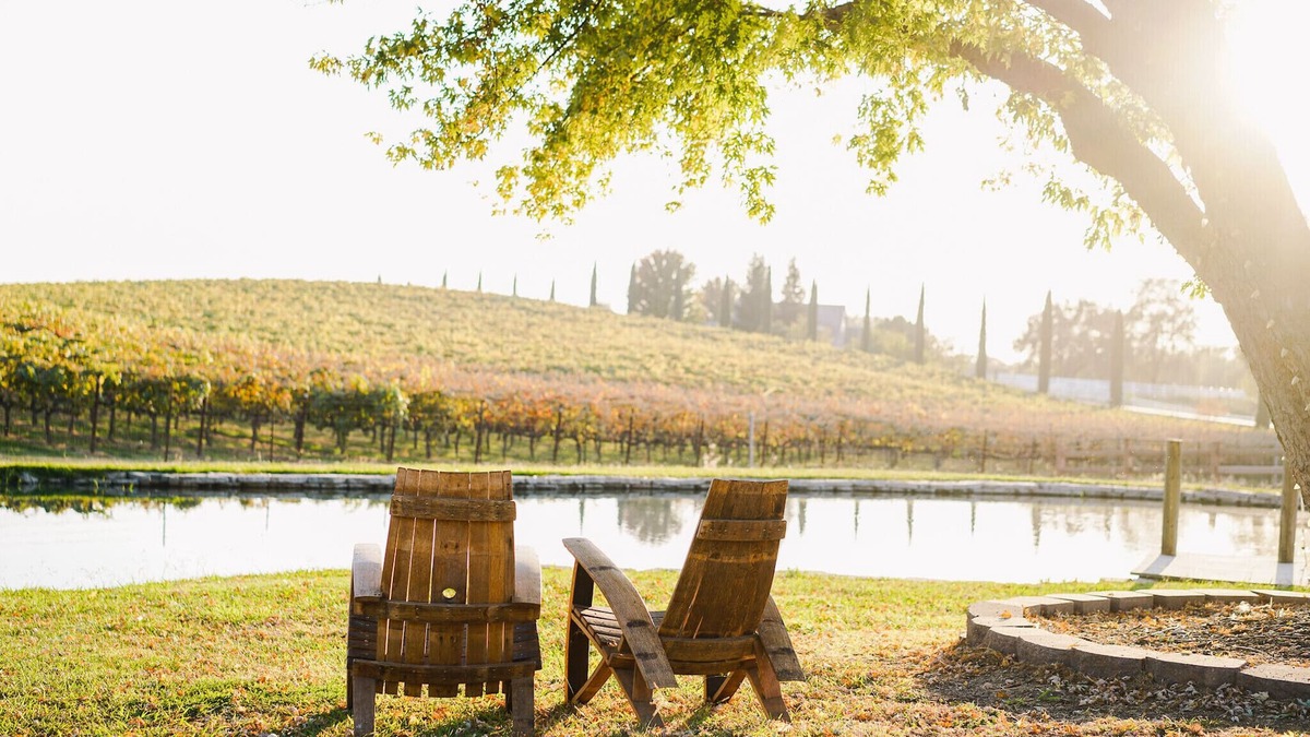 Newcastle House | 1Romantic Suite Private Entrance with a unique View of a vineyard