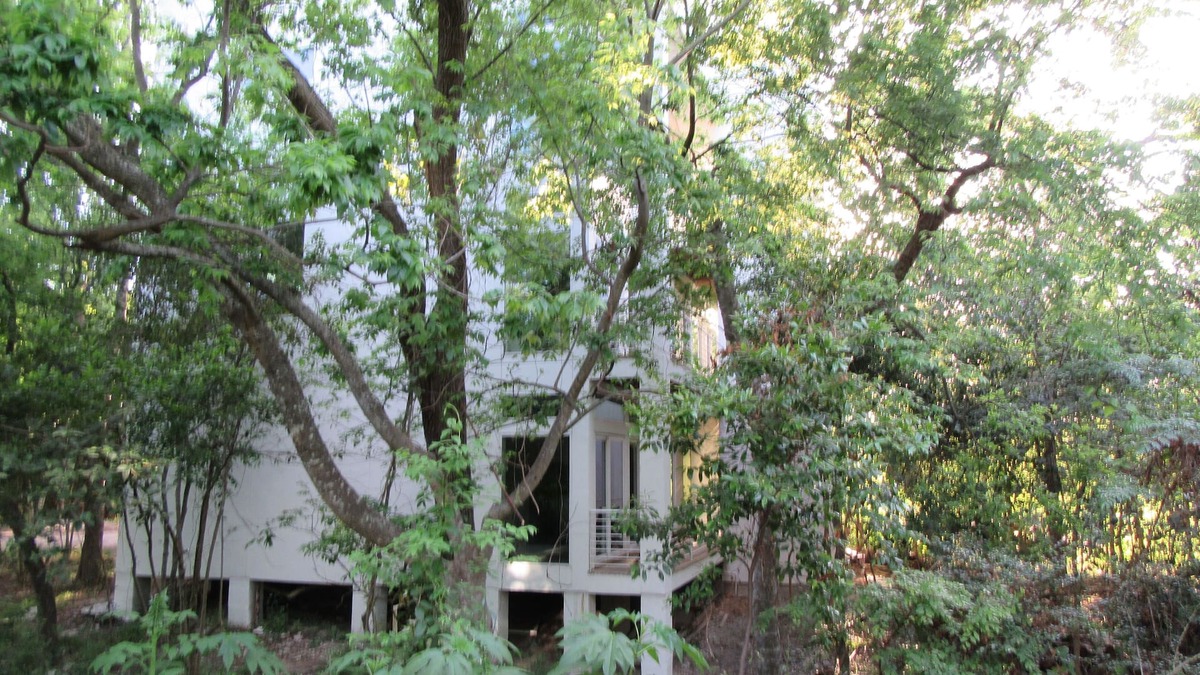 Washington Ave./ Memorial Park Apartment | 1st Flr Apt in Native Woods, Next to Bayou Trails, Washington St/Heights Area