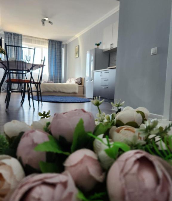 Almaty Apartment | 2 -ух комнатная квартира в Sholpan city