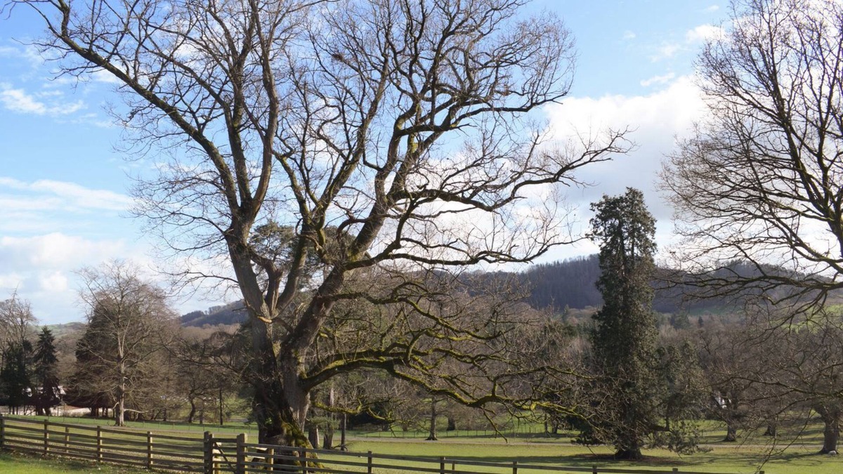 Llanfyllin Cottage | 2 bedroom accommodation in Llanfyllin
