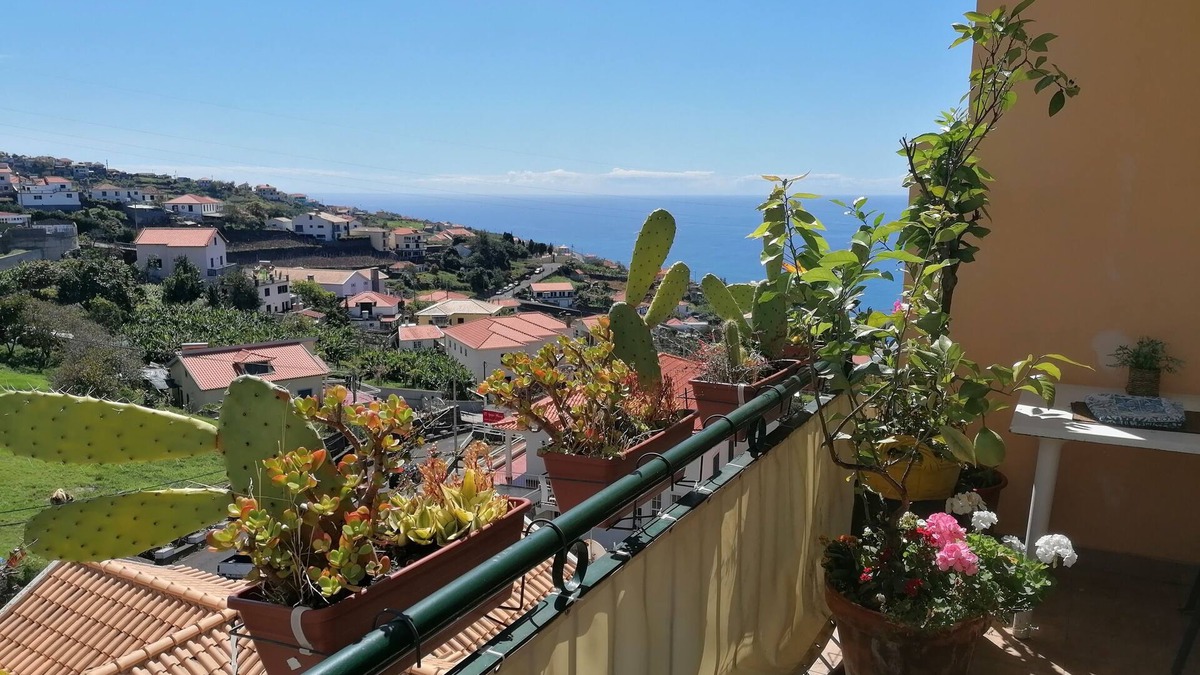 Estrela da Calheta Apartment | 2 bedroom apartment in Estrela da Calheta, 5 minutes from Calheta beach