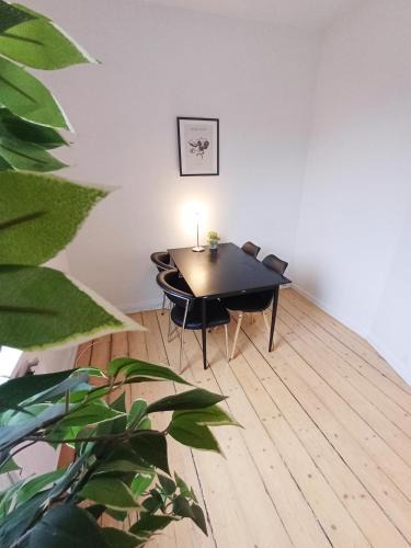 Aalborg Apartment | 2 Bedroom Apartment near pedestrian street