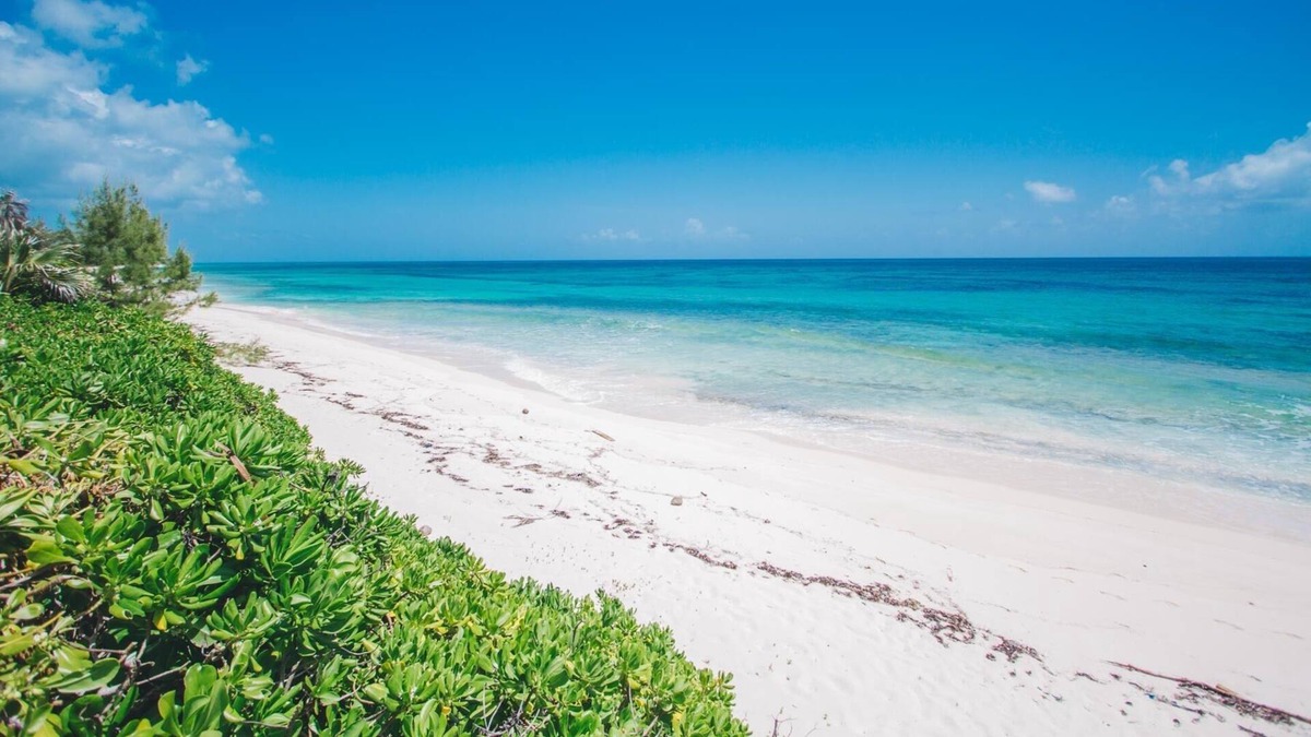 North Palmetto Point House | 2 Bedroom Beach House Steps from Mile-Long Pink Sand Beach