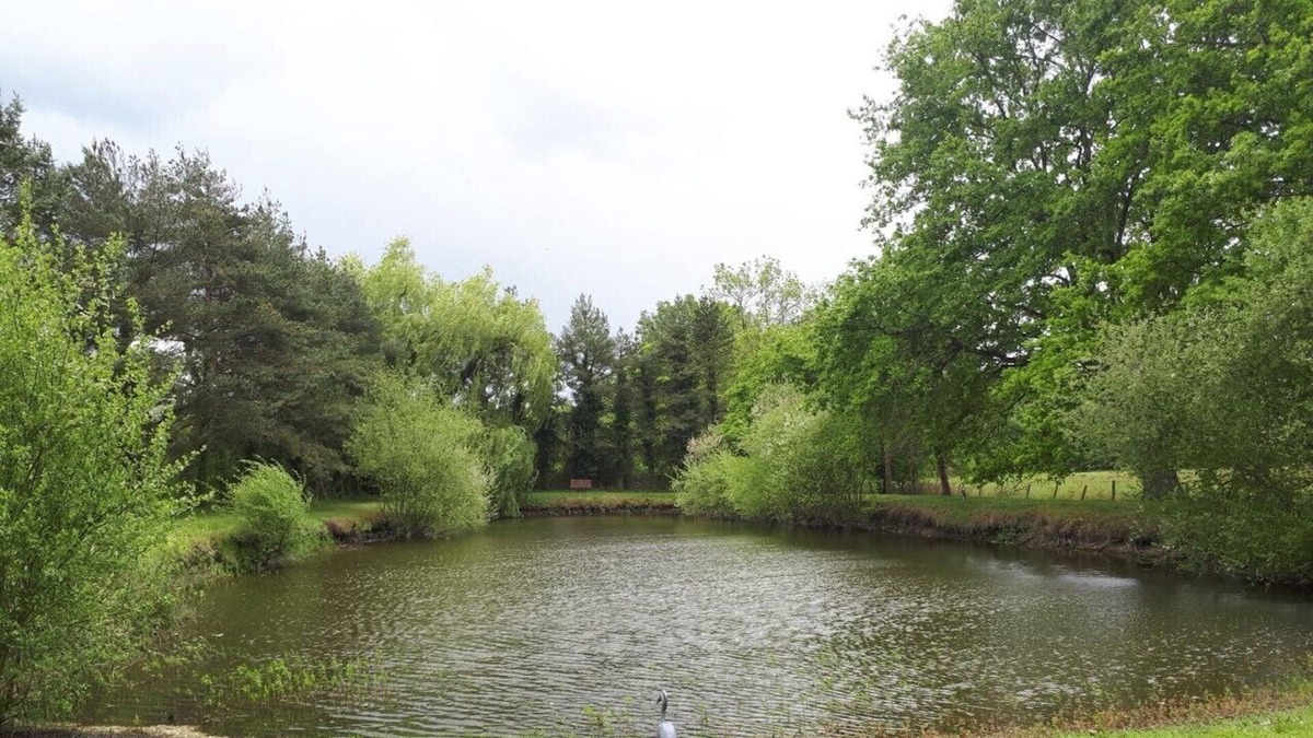 Aubigne-Racan Ski Chalet | 2 bedroom Chalet set in 3 1/2 acres overlooking a tranquil ornamental lake