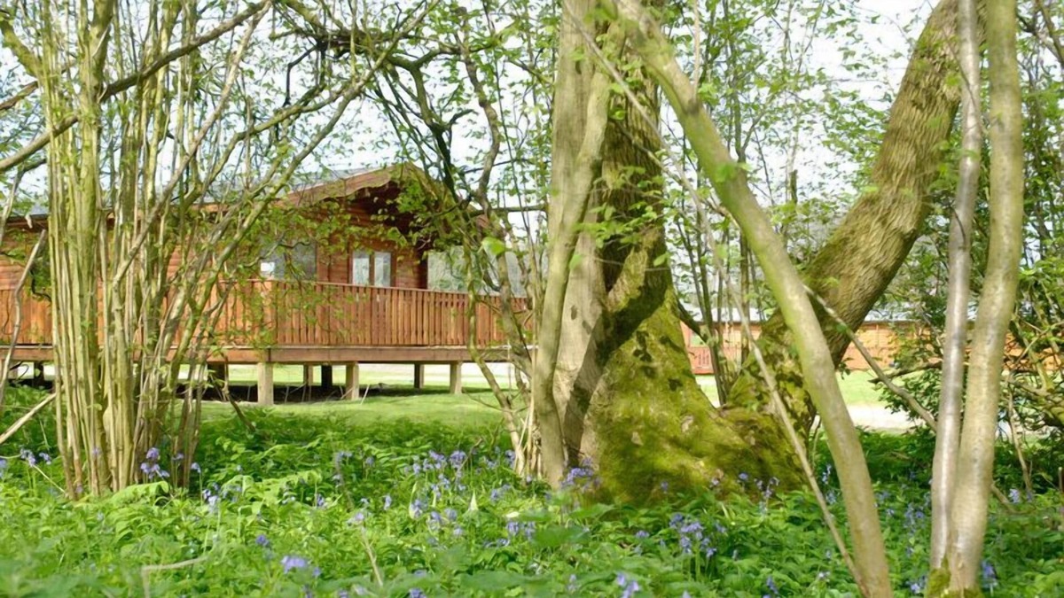 Winchester Cabin | 2 Bedroom, Luxury Woodland Lodge (sleeps 4)