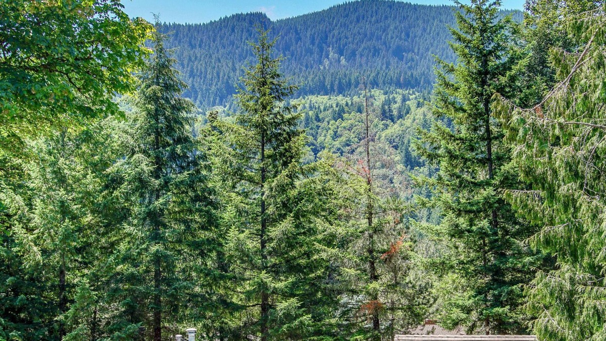 Welches Condo | 2-Bedroom Mt. Hood Condo w/Pool Access