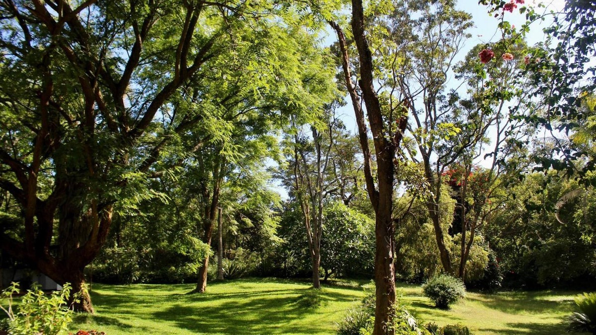 Mutare Apartment | 2 Bedroomed House With a Lovely Garden - 2177