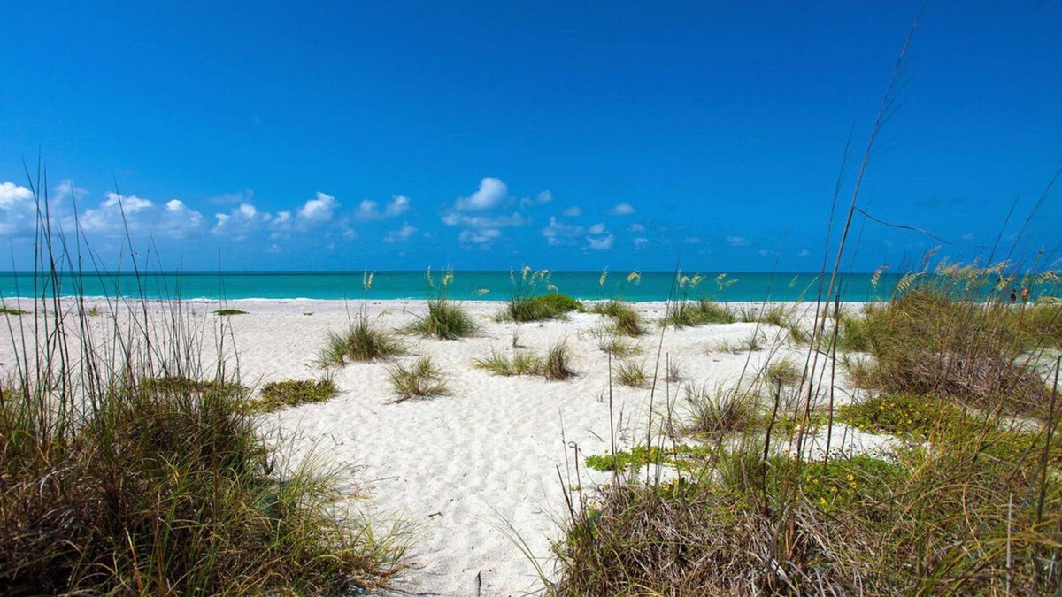 Cape Haze Condo | 2 Bedrooms on the beach!