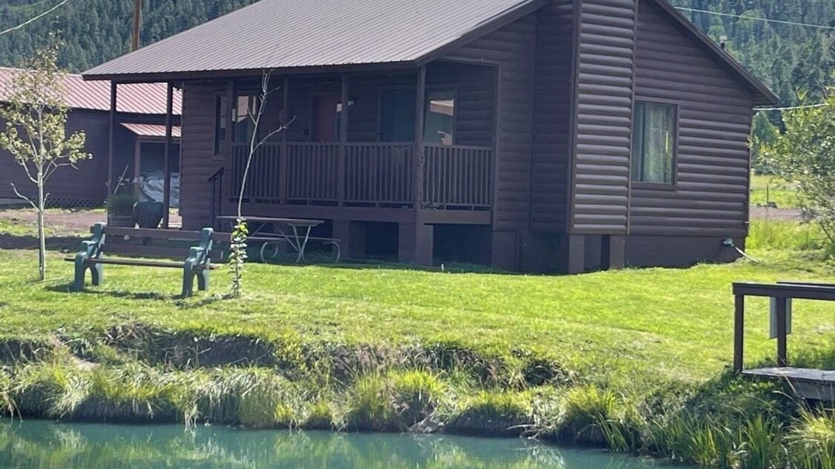 Greer Cabin | 2 BR-1BA Log Cabin on Main Street. Stocked trout pond, porch, dogs ok.