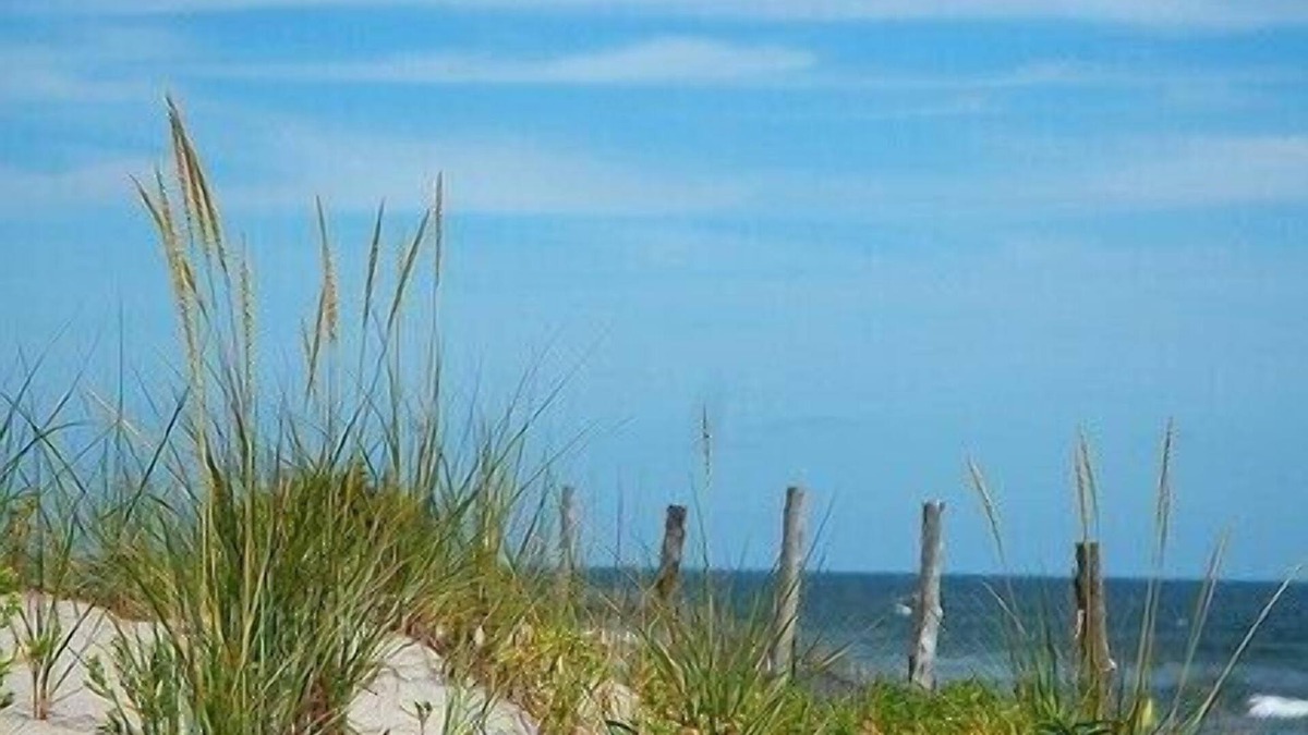 Beach Haven House | 2 BR House Beach Haven Centrally located