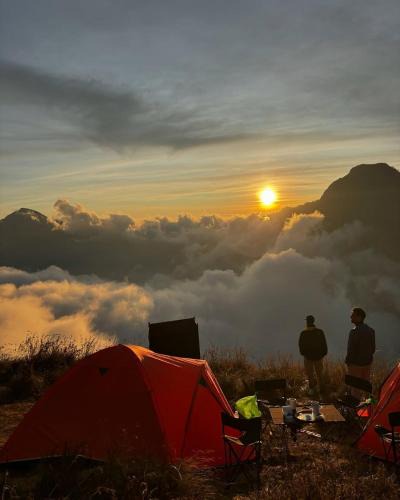 Bayan Other | 2 Days Camping Rinjani Summit 3726 m Join Tour