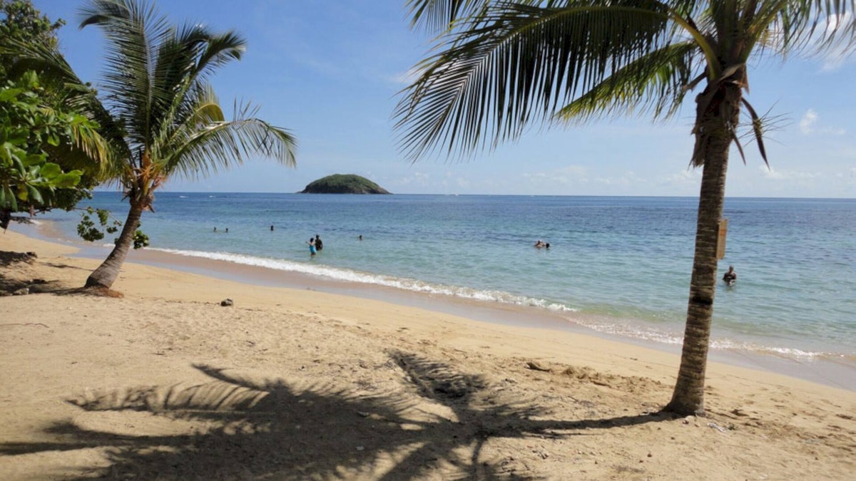 Tartane House | 2 - Exotic Bungalow T2 & Large Garden near beach