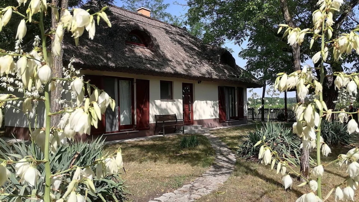 Orgovany House | 2 houses (up to 9 people) in the heart of nature, with private pool