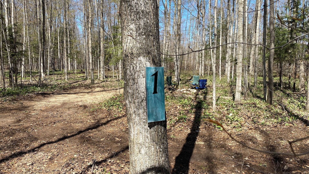 Beulah RV Rental | #2 Private Wooded Campsite for Tents or Small RV's