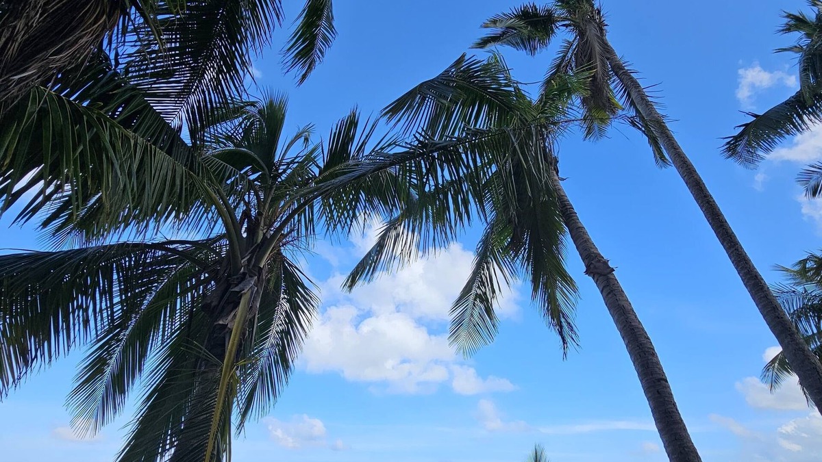 La Pared Apartment | 2-romm apartment , WiFi, A/C Luquillo,Puerto Rico access to the beach and pool