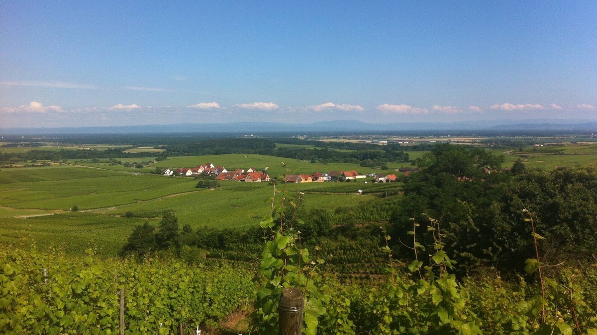 Blienschwiller Apartment | 2-room apartment in central Alsace on the wine route