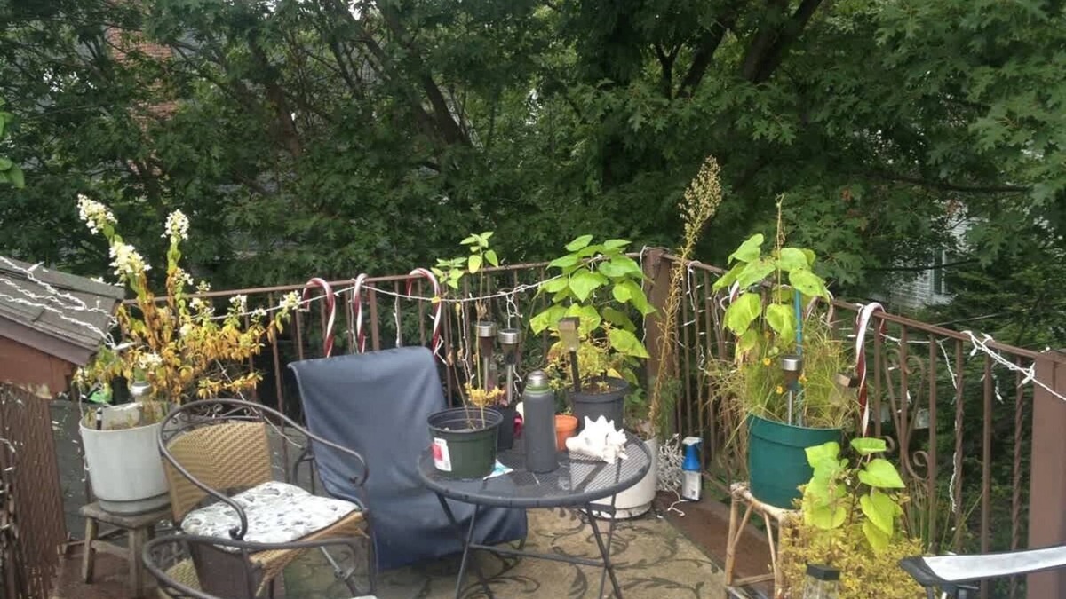 High Street Hill Apartment | 2 rooms close to Medical