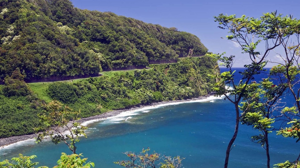 Kaanapali Cottage | 2 Units in International Colony Club, Sleeps 12