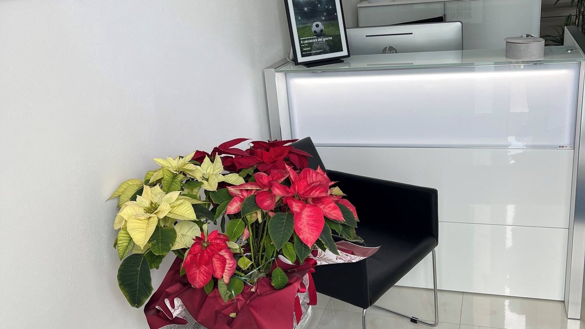 Rubiera House | 200 meters from the historic town center of which is home to starred restaurants,