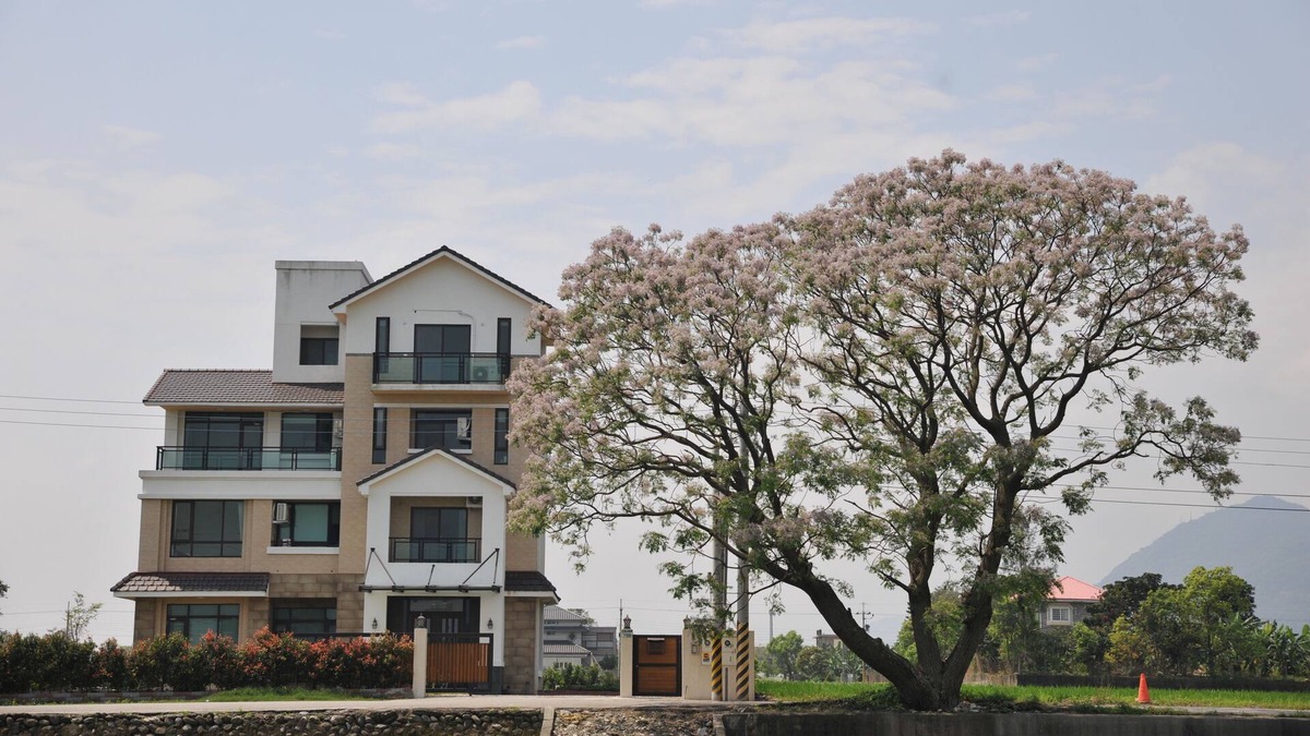 Ji'an Bed & Breakfast | 201 Mountain View Double room Hualien
