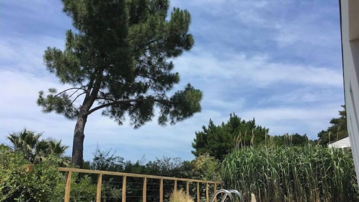 Kokotia Villa | 2019 architect-designed house
