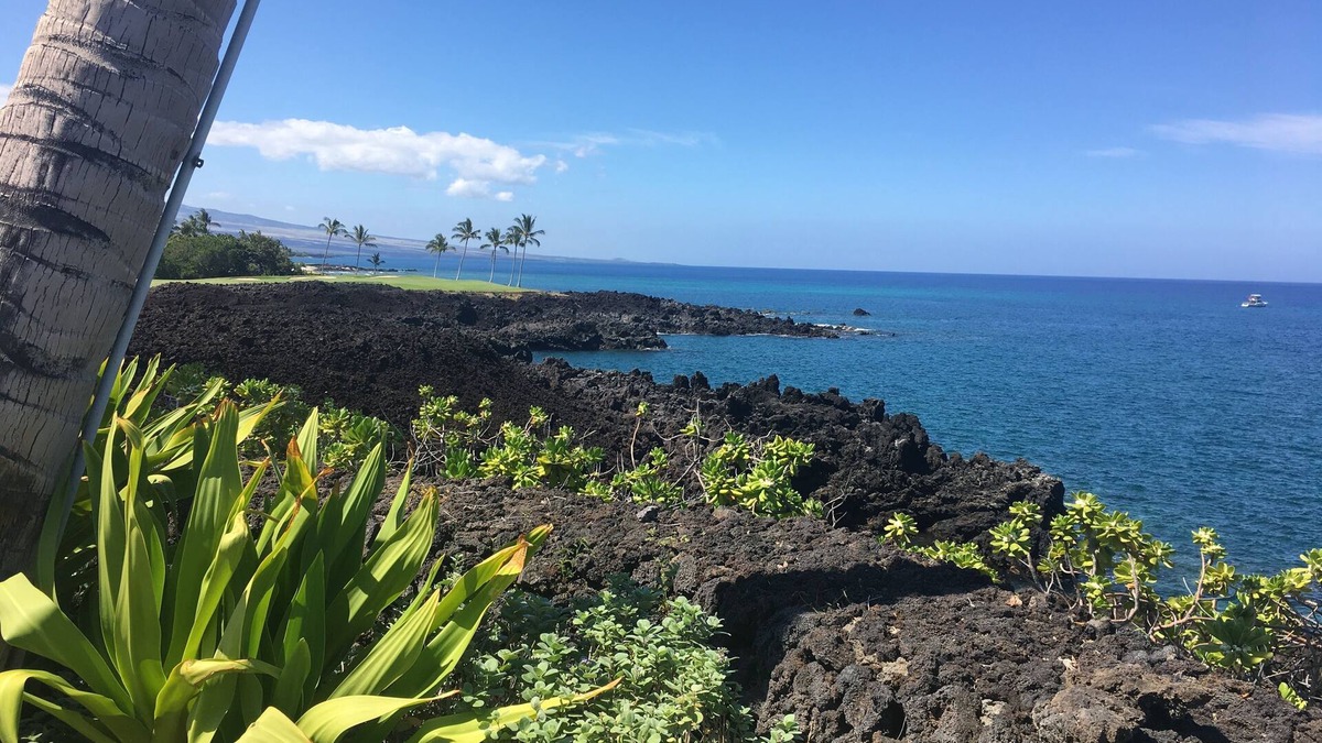 Waikoloa Condo | 2020 upgrades Halii Kai rental/Kings’ Club Golf Gold Member near the Ocean Club