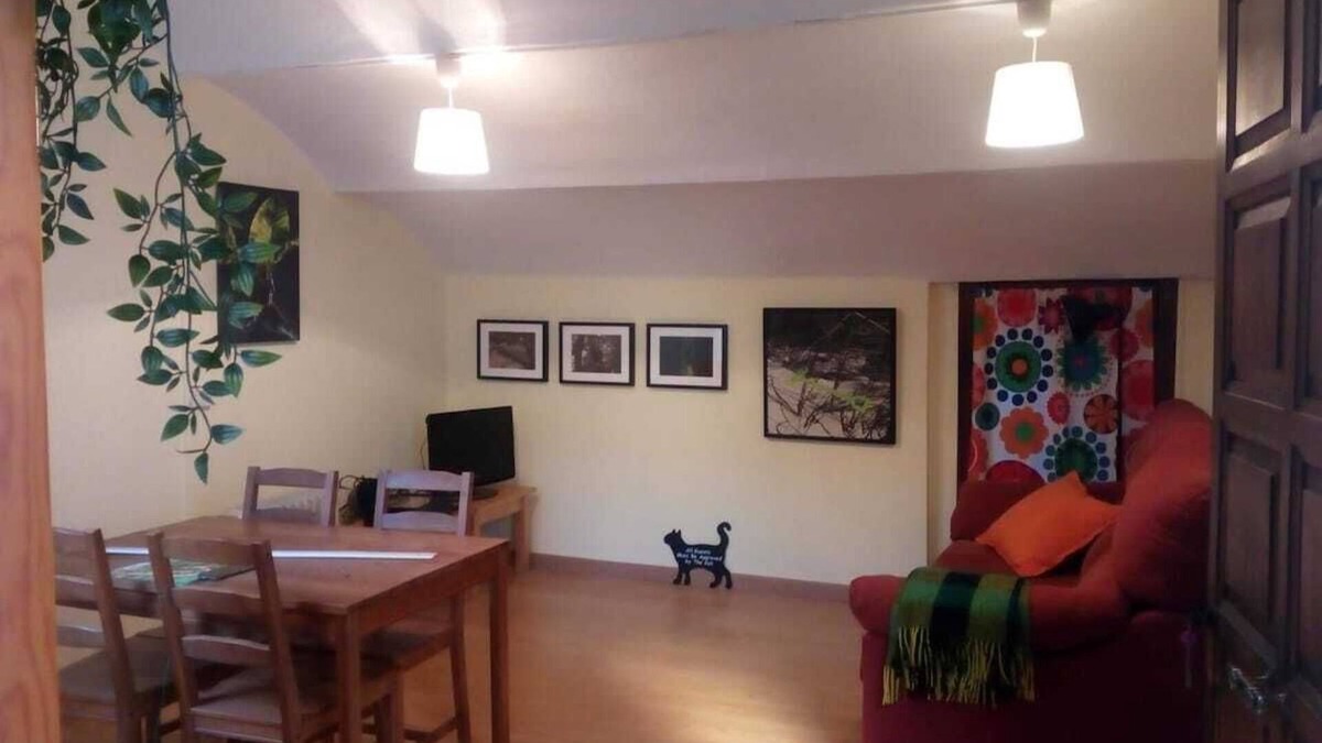 Villaviciosa Apartment | 202A Charming Penthouse - Center Villaviciosa