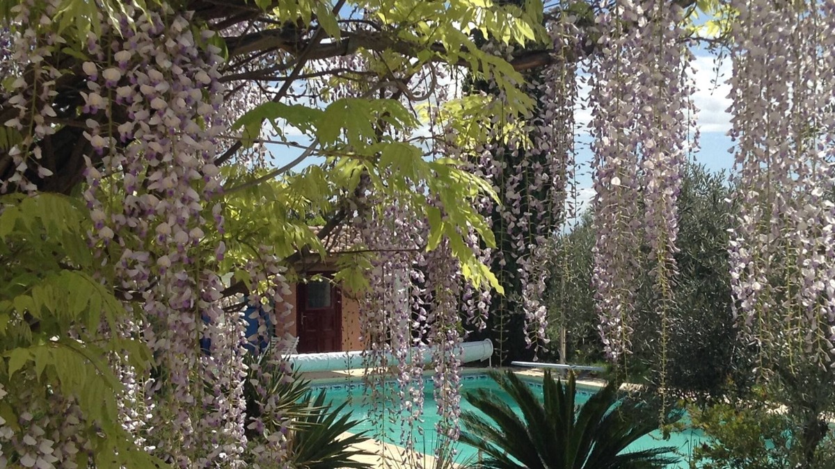 Sommieres Villa | 210 m2 villa, fully air-conditioned, large swimming pool, garden, breathtaking view