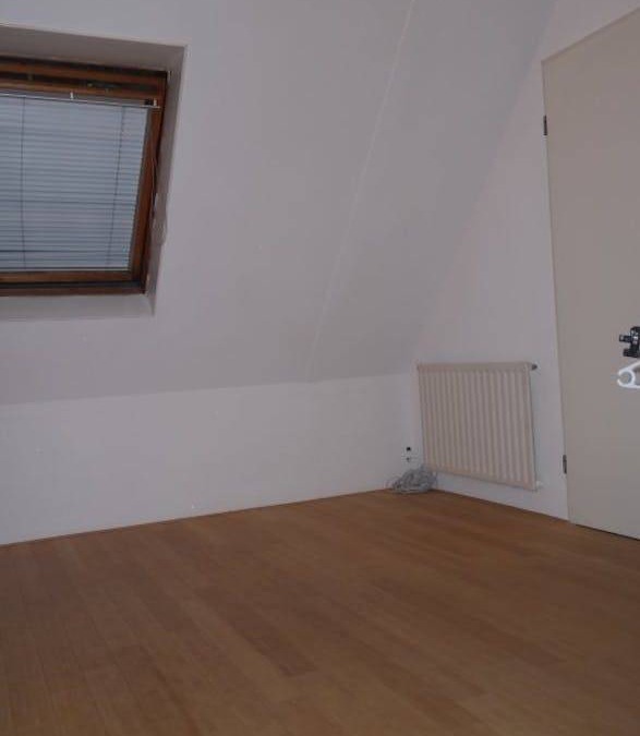 Zoetermeer Resort | 22 m² Private room ∙ 1 bedroom ∙ 1 guest