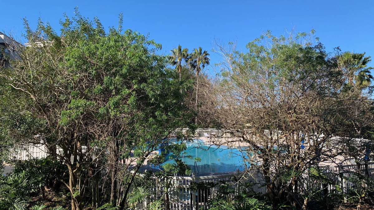 Florida Center Apartment | 2205 -The heart of International Dr/Universal
